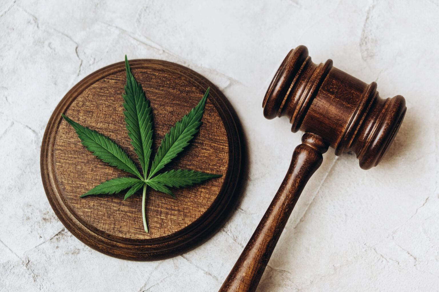 Cannabis Legal en la República Dominicana Desarrollo, Beneficios y