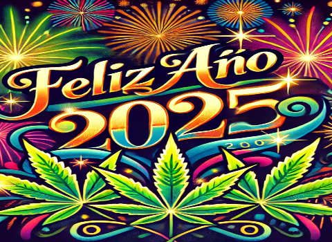 El Cannabis y El MMM un 2024 de lleno Éxitos