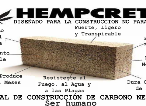 Hempcrete: El Cannabis y la Revolución Verde en la Construcción